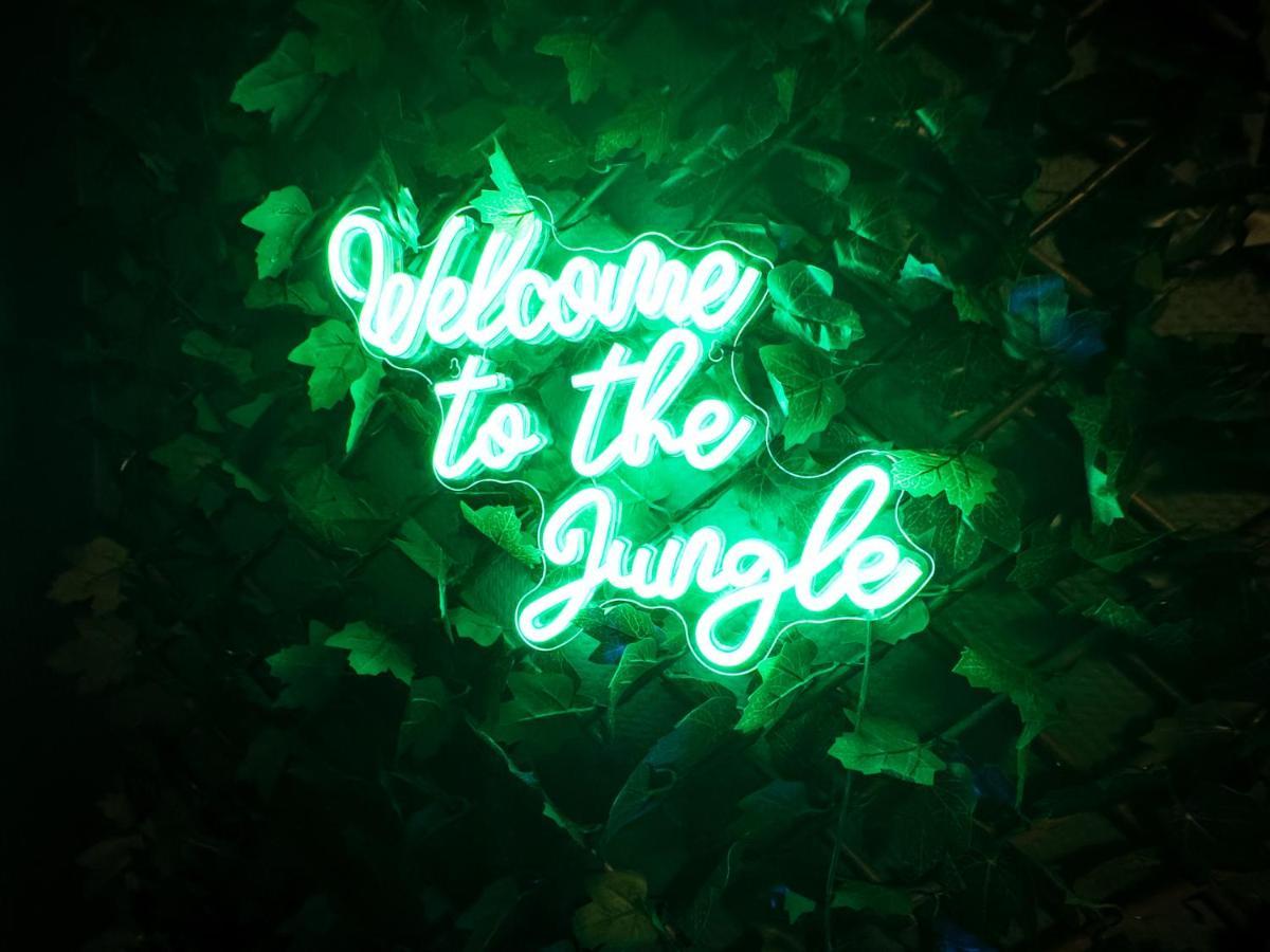 Jungle Urbain- Sauna - Cine - Hamac - Hyper Centre Amiens Exterior foto